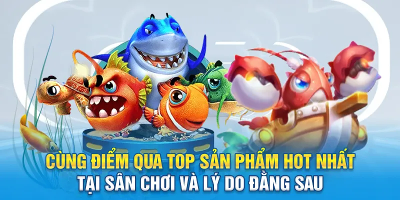 Cùng điểm qua top sản phẩm hot nhất tại sân chơi và lý do đằng sau
