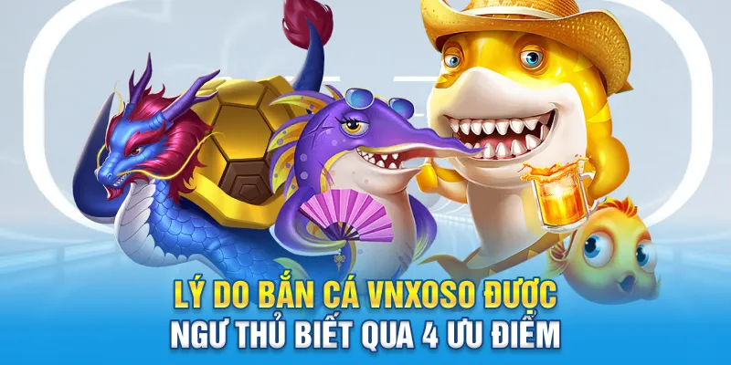 Lý do bắn cá Vnxoso được ngư thủ biết qua 4 ưu điểm