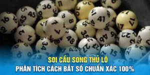 soi cau song thu lo phan tich cach bat so chuan xac 100 3 11zon