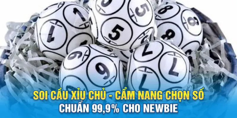soi cau xiu chu cam nang chon so chuan 99 9 cho newbie 12 11zon
